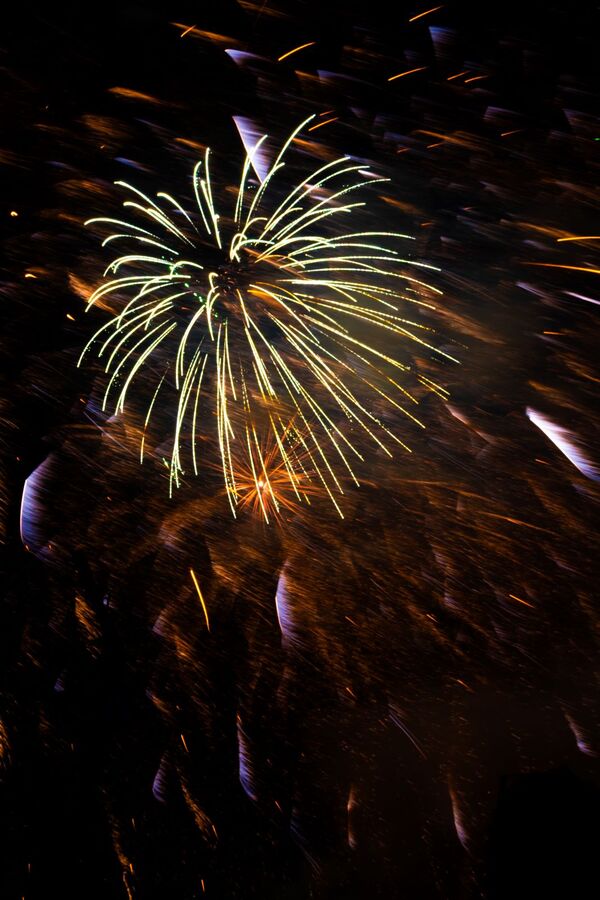 Remember Remember the 5th of November - Katharine Showell